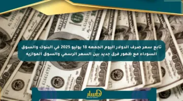 تابع سعر صرف الدولار اليوم الجمعة 18 يوليو 2025 في البنوك والسوق السوداء مع ظهور فرق جديد بين السعر الرسمي والسوق الموازية